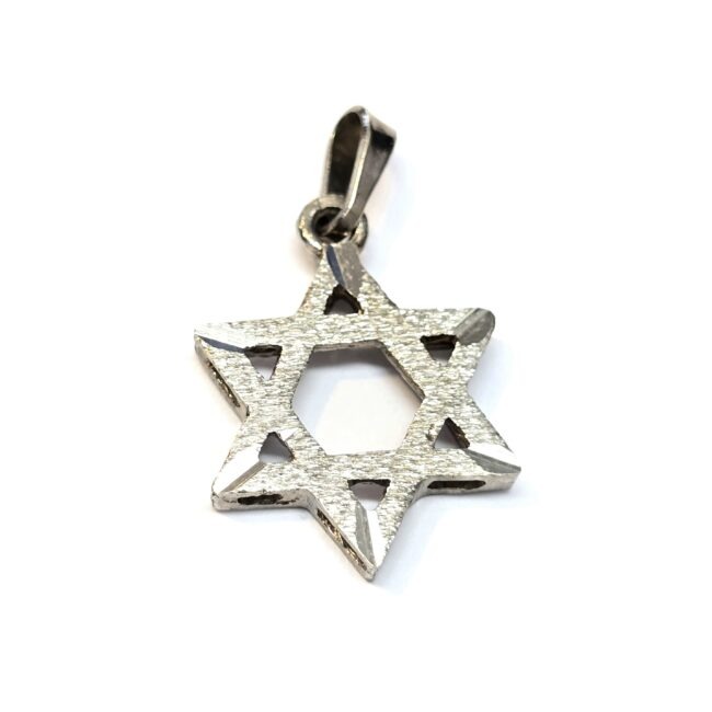 תליון זהב לבן 14 קראט מגן דויד מט קולקציה חדשה tgbh707