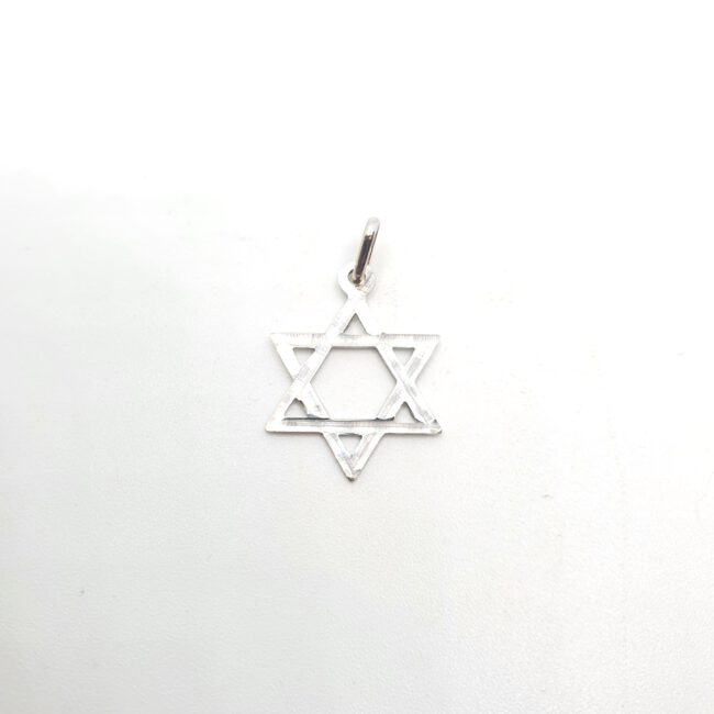 תליון זהב לבן 14 קראט מגן דויד