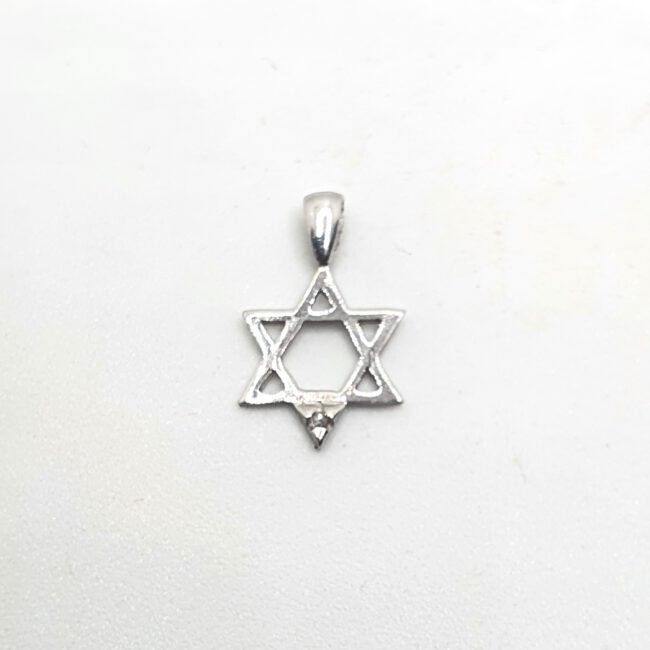 תליון זהב לבן 14 קראט קטן קולקציה חדשה tgm15