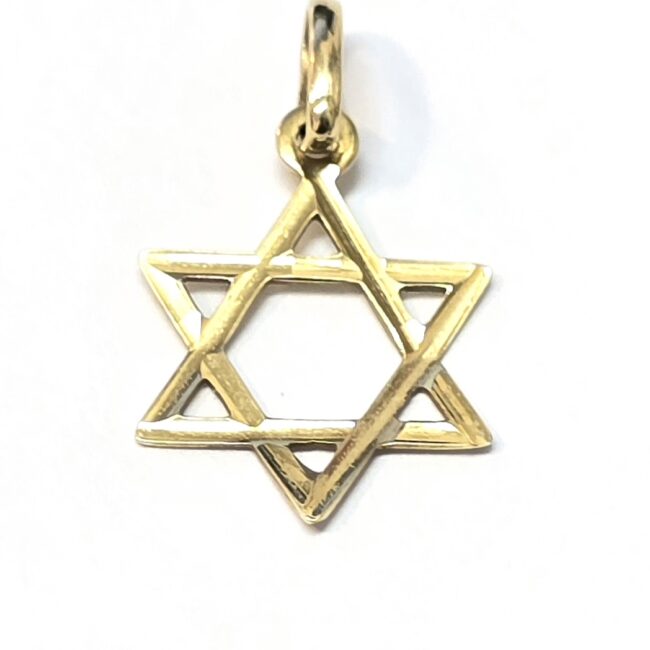 תליון זהב 14 קראט מגן דויד חלק קולקציה חדשה tgbh6