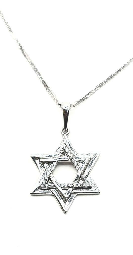 תליון יהלומי מעבדה מגן דויד ושרשרת זהב לבן 14 קראט shbhl1